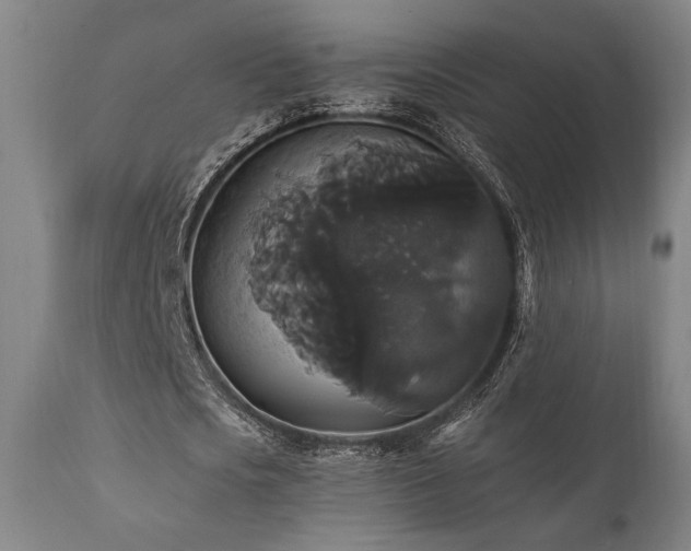 X0000111820721200907231317