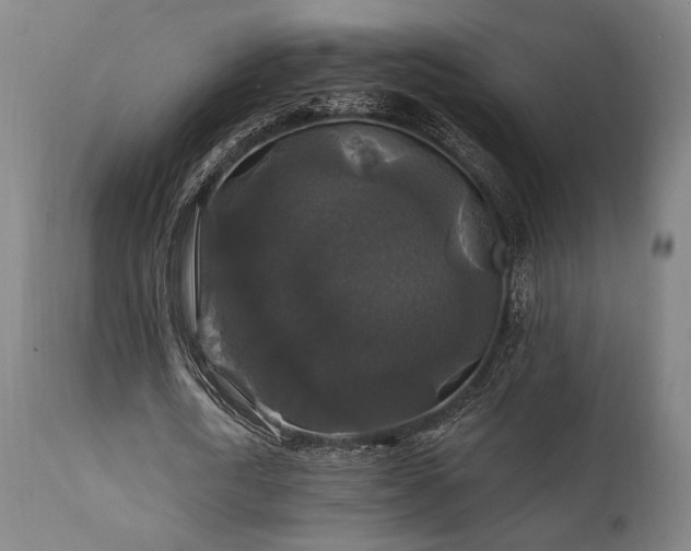X0000111820722200907231317