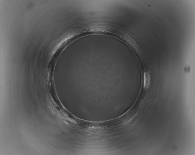 X0000111820723200907231317