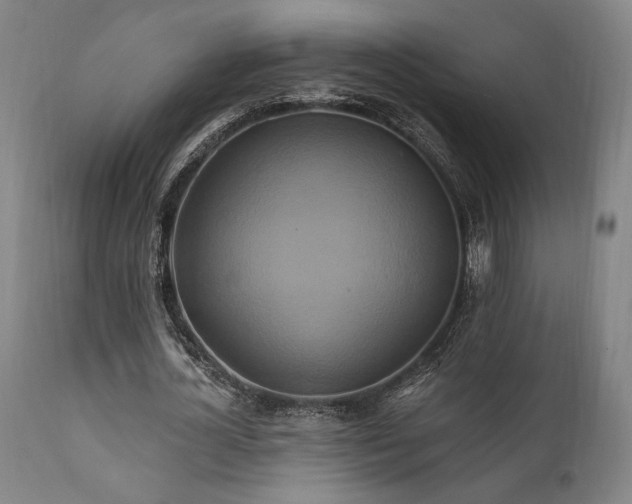 X0000111820724200907231317