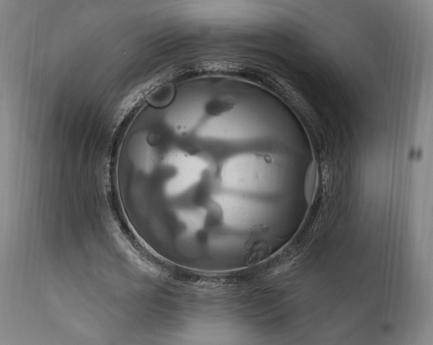 X0000111820725200907231318