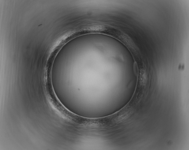 X0000111820726200907231318