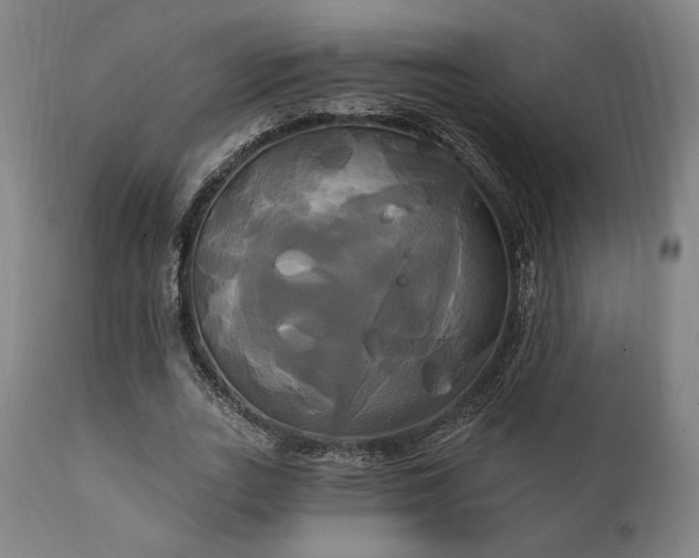 X0000111820727200907231318