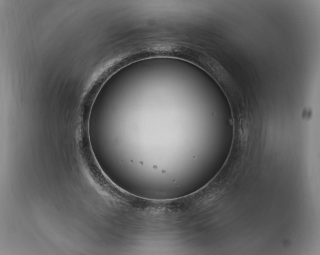 X0000111820728200907231318