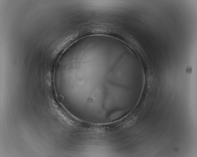 X0000111820729200907231318
