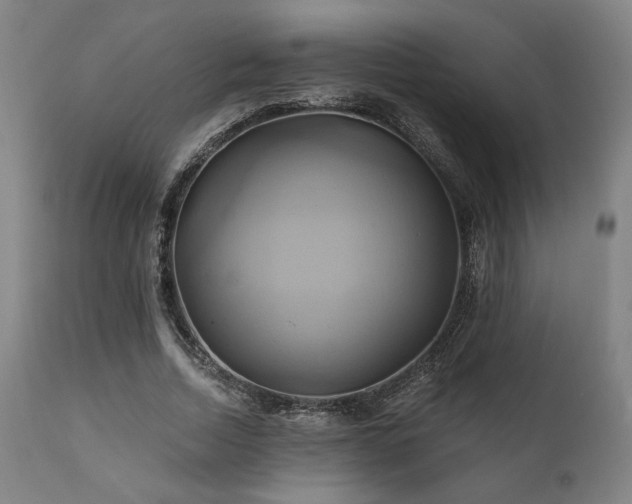 X0000111820730200907231318