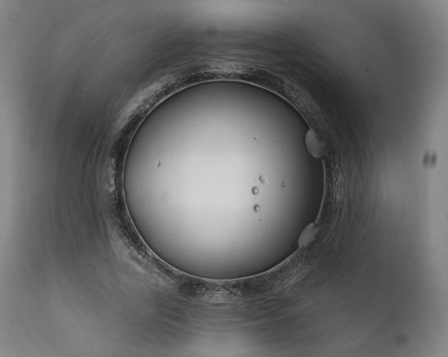X0000111820731200907231318