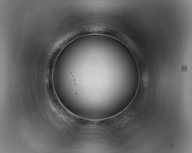 X0000111820732200907231318
