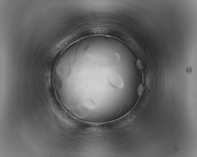 X0000111820733200907231318