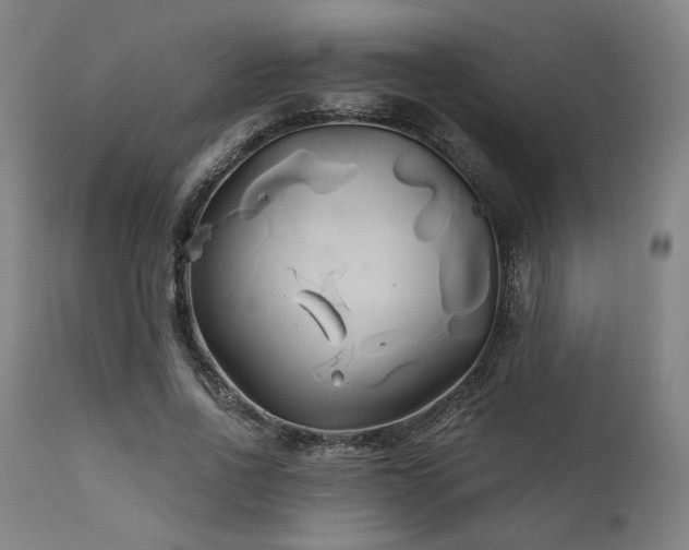 X0000111820734200907231318