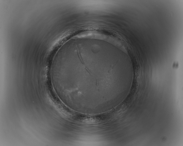 X0000111820735200907231318