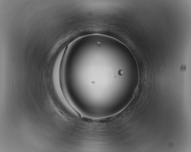 X0000111820736200907231318