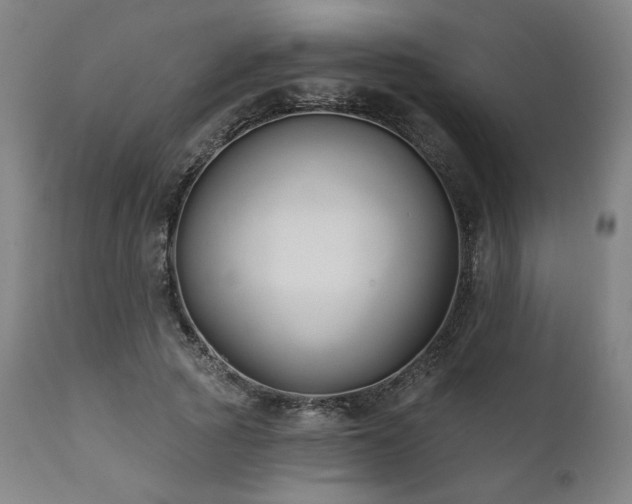 X0000111820737200907231318