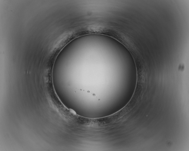 X0000111820738200907231318