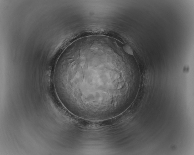 X0000111820739200907231318