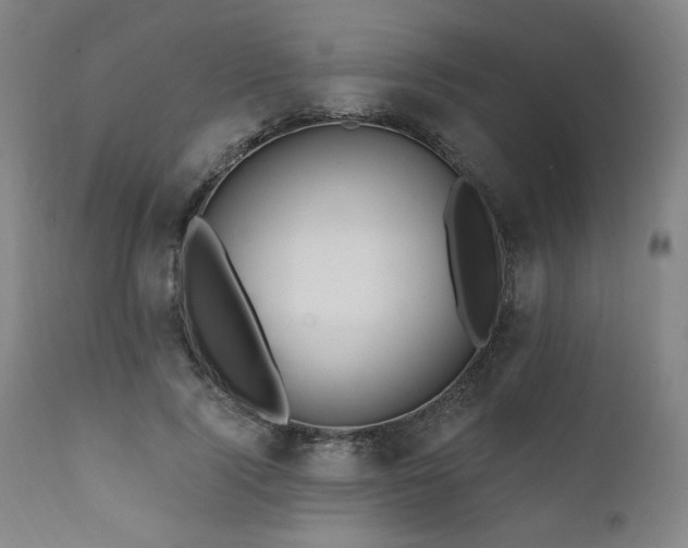 X0000111820740200907231318