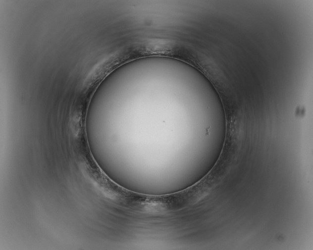 X0000111820741200907231318