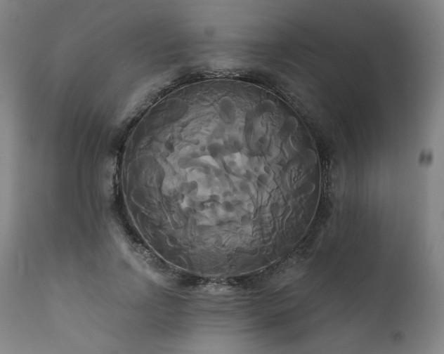 X0000111820742200907231318
