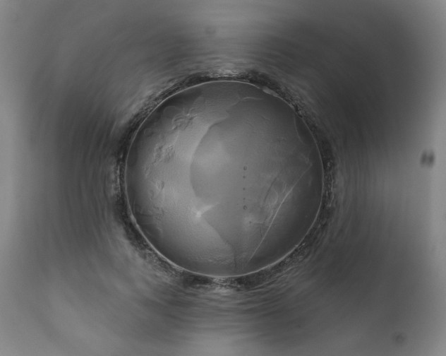 X0000111820743200907231318
