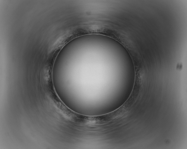 X0000111820746200907231318