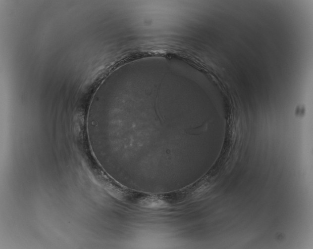 X0000111820747200907231318