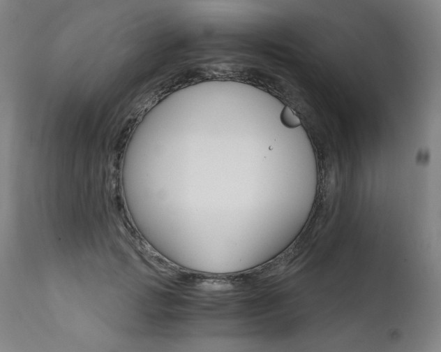 X0000111820749200907231318