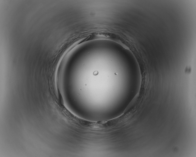 X0000111820750200907231318