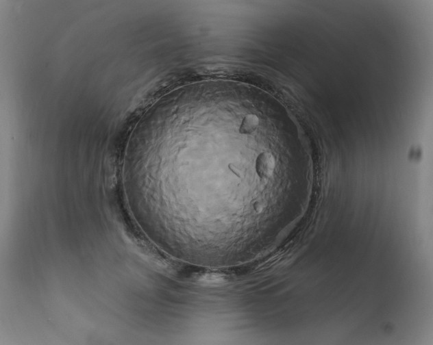 X0000111820751200907231318