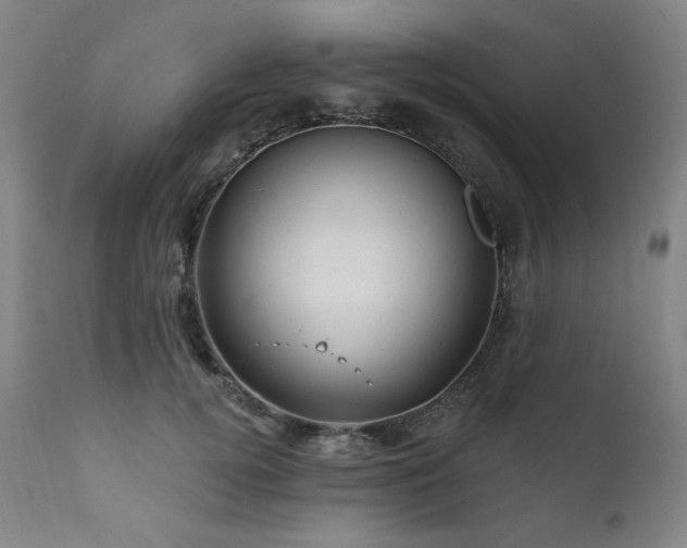 X0000111820752200907231318