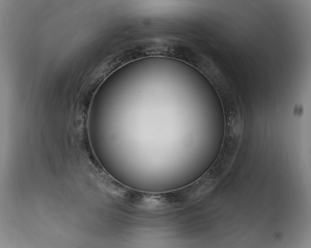 X0000111820753200907231318