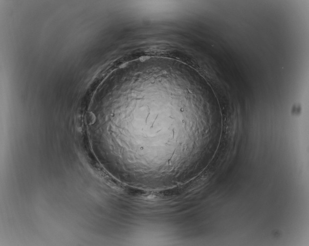 X0000111820755200907231318