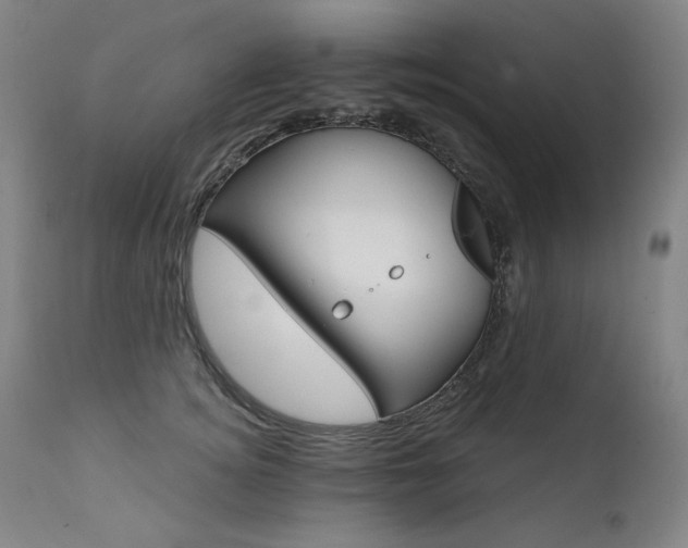 X0000111820756200907231318