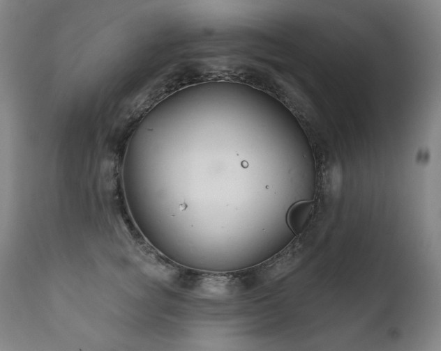 X0000111820757200907231318