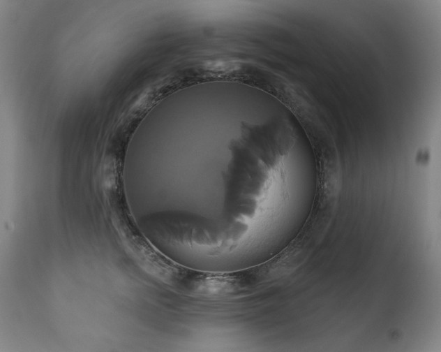 X0000111820758200907231318
