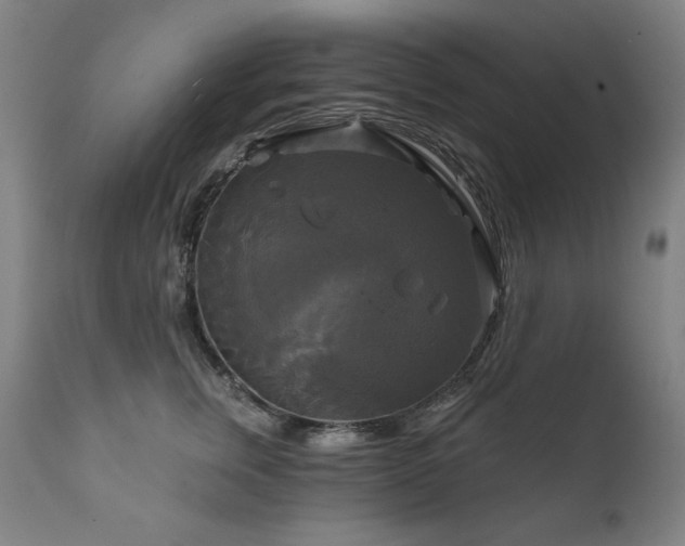 X0000111820759200907231318