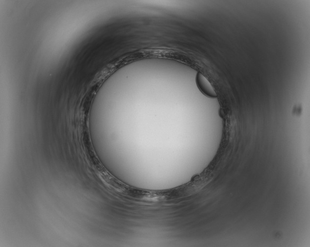 X0000111820760200907231318