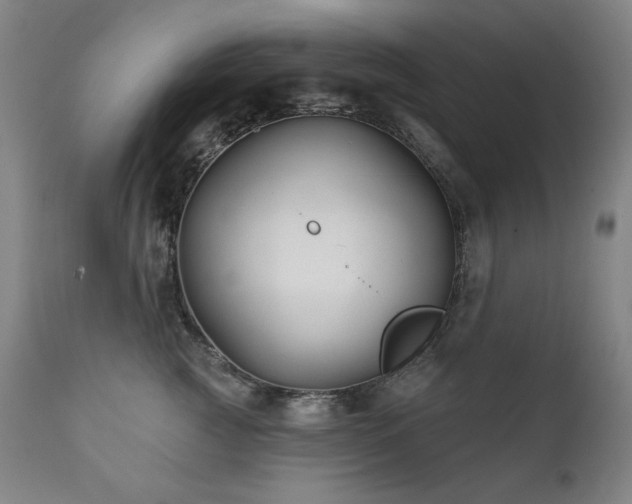 X0000111820761200907231318