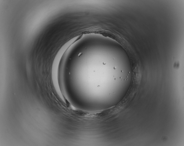X0000111820762200907231318