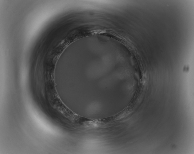 X0000111820763200907231318