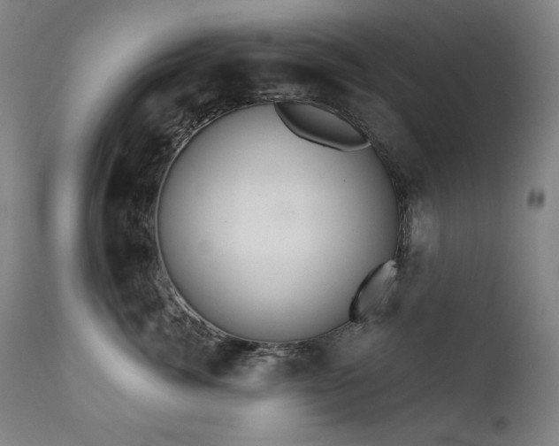 X0000111820764200907231318