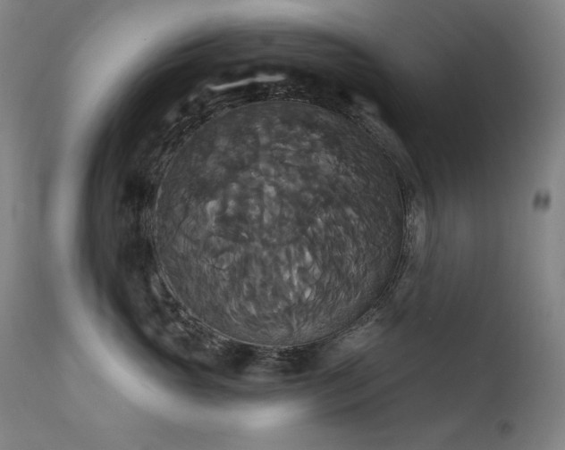 X0000111820765200907231318