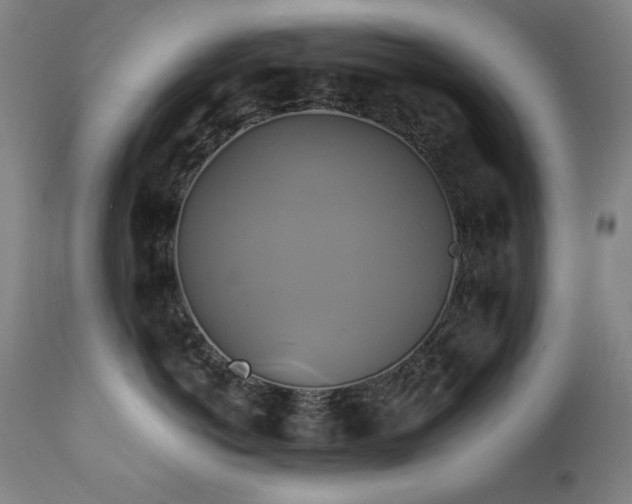 X0000111820766200907231318