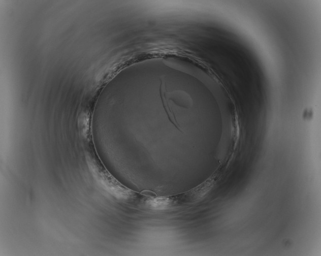 X0000111820767200907231318