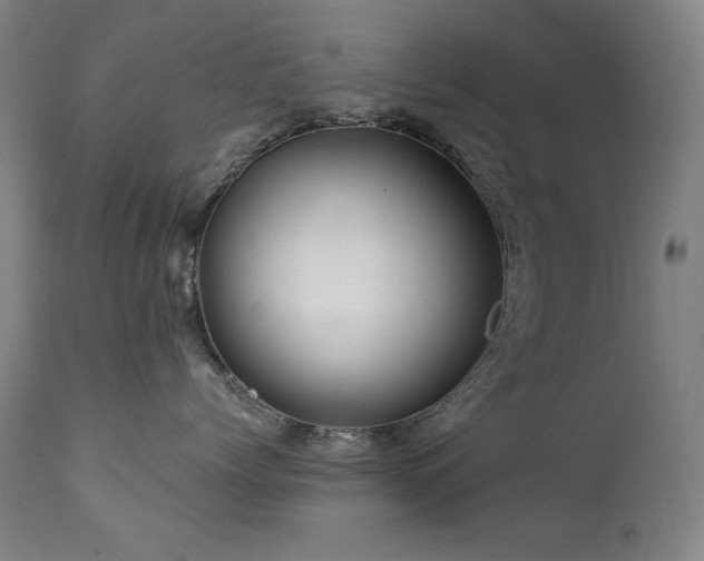 X0000111820768200907231318