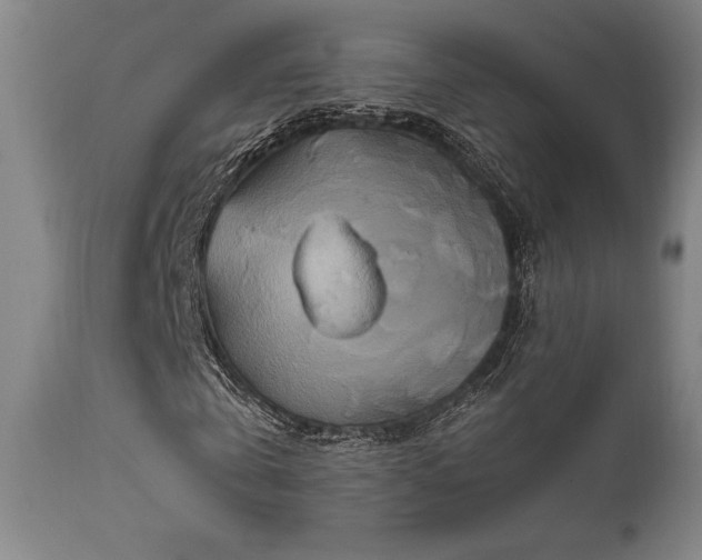 X0000111820769200907231317