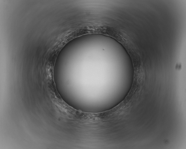 X0000111820770200907231317