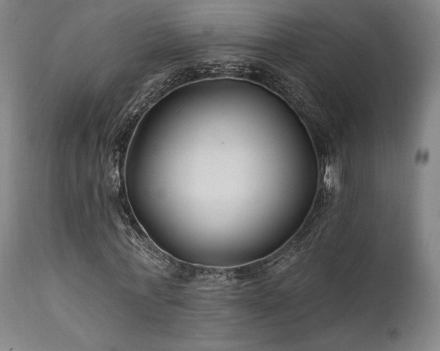 X0000111820771200907231317