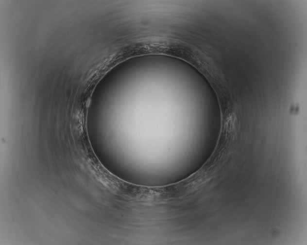 X0000111820772200907231317
