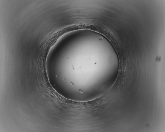 X0000111820773200907231317