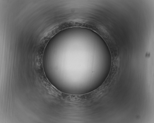 X0000111820774200907231317